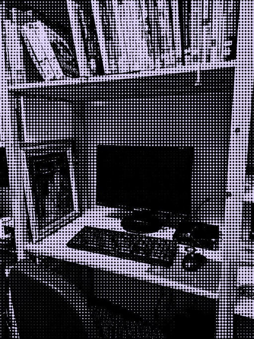 Ein Desktop-PC wird umrahmt von Bücherregalen aus Holz. Davor steht ein Bürostuhl.